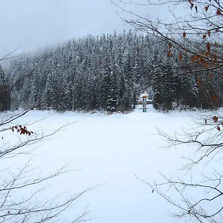 Горянин-2